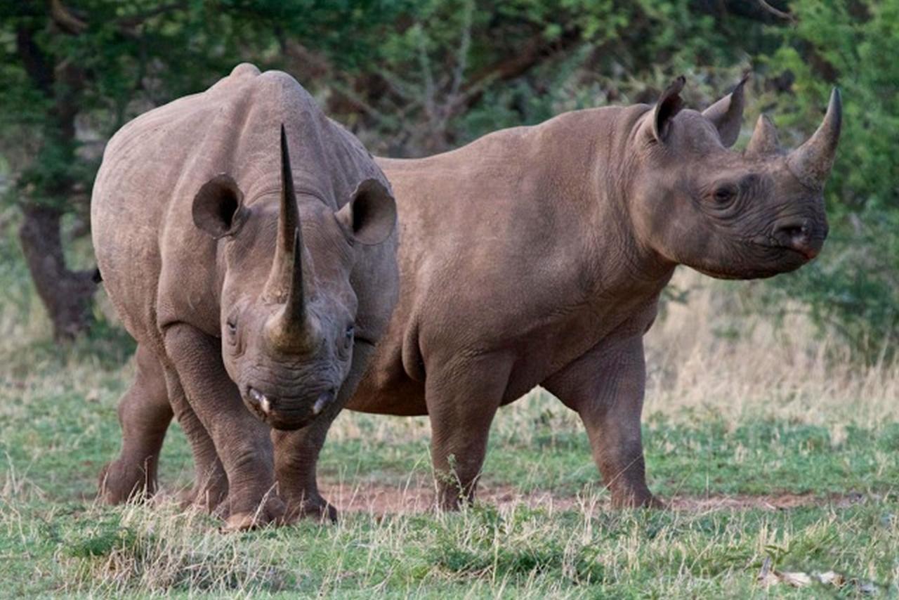Pilanesberg Private Lodge ภายนอก รูปภาพ